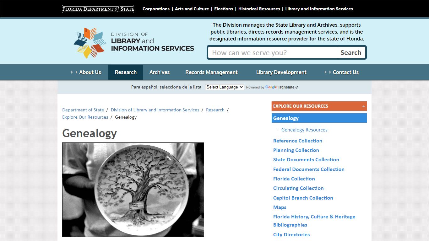 Genealogy - Division of Library and Information Services - Florida ...